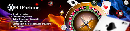 Leading No-KYC Crypto Casino Experience the Future of Online Gaming Leading No-KYC Crypto Casino Experience the Future of Online Gaming