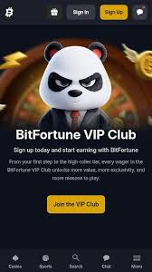 Maximizing Your Wins The Ultimate Guide to Bitfortune Social Media Giveaways
