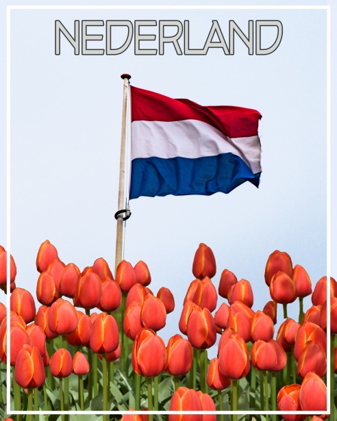Wenskaarten voor Elke Gelegenheid De Perfecte Keuze